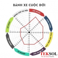 Bánh xe cuộc đời