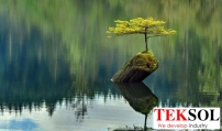 tâm thế điềm tĩnh
