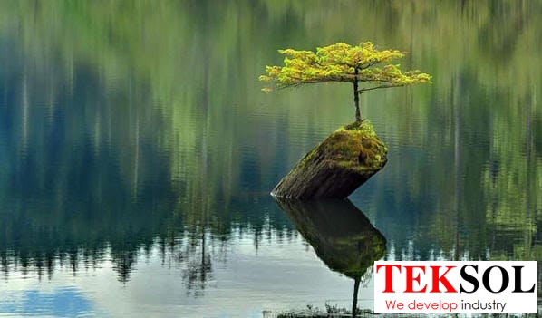 tâm thế điềm tĩnh