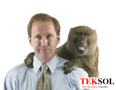 Got a monkey on your back